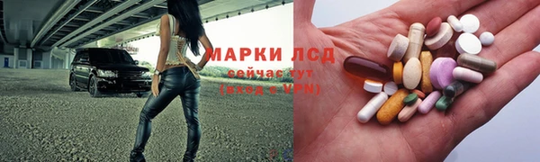 ECSTASY Алзамай