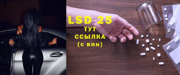 ECSTASY Алзамай