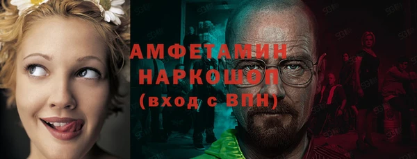 ПСИЛОЦИБИНОВЫЕ ГРИБЫ Алексин